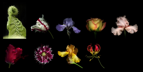 Februar2011